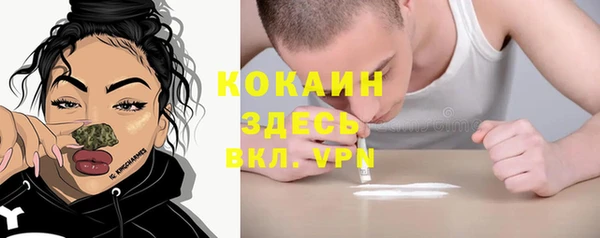 мяу мяу мука Алексин