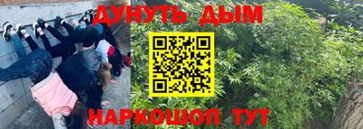 амф Гусев