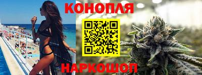 амф Гусев