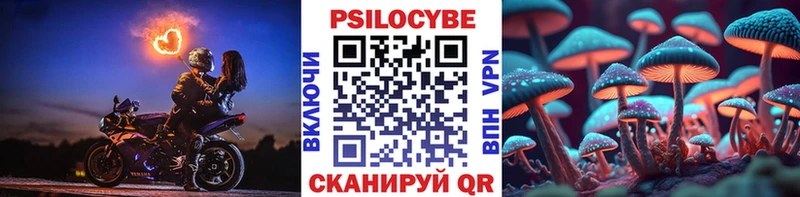 Псилоцибиновые грибы ЛСД цены наркотик OMG ТОР Ипатово