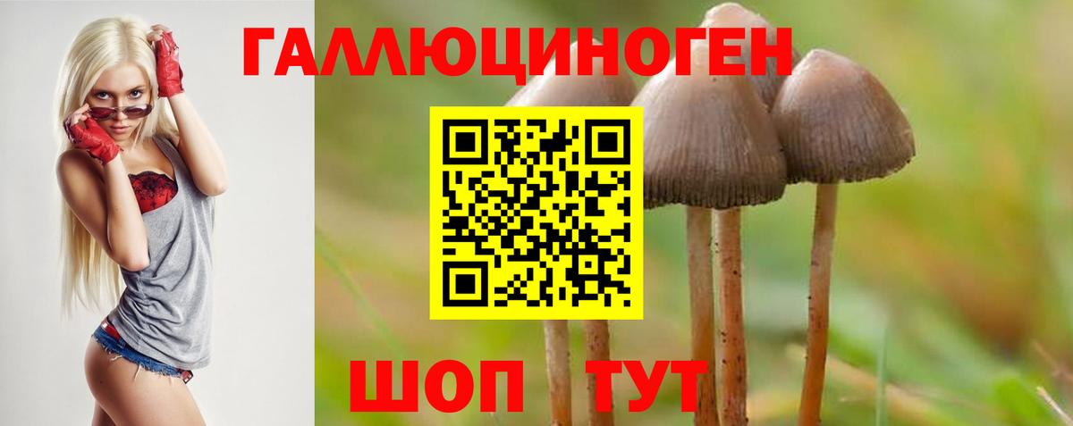 Галлюциногенные грибы Magic Shrooms Ипатово